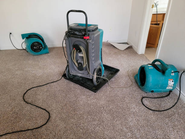  West Athens, CA Water damage restoration Pros
