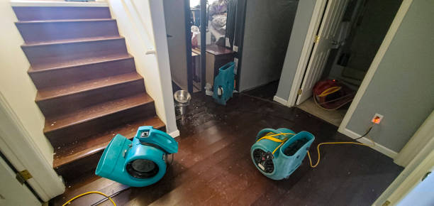 Best Fire Damage Restoration  in West Athens, CA