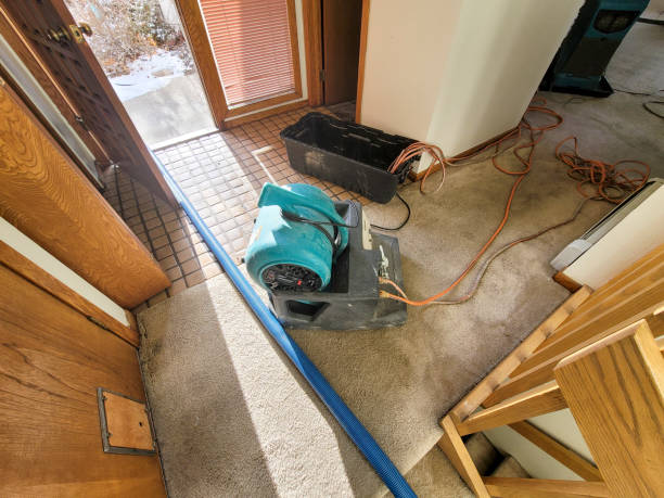 Best Sewage cleanup and water damage restoration  in West Athens, CA