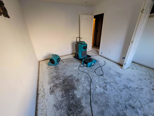 Best Flooded house restoration  in West Athens, CA