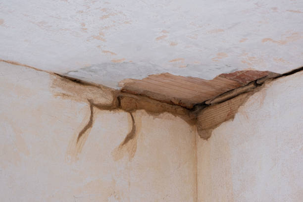 Best Flood damage cleanup  in West Athens, CA