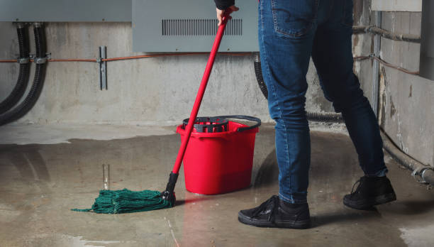 Best 24-hour water damage restoration  in West Athens, CA