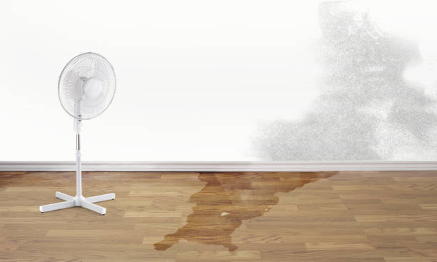 Best Water damage restoration insurance claims  in West Athens, CA