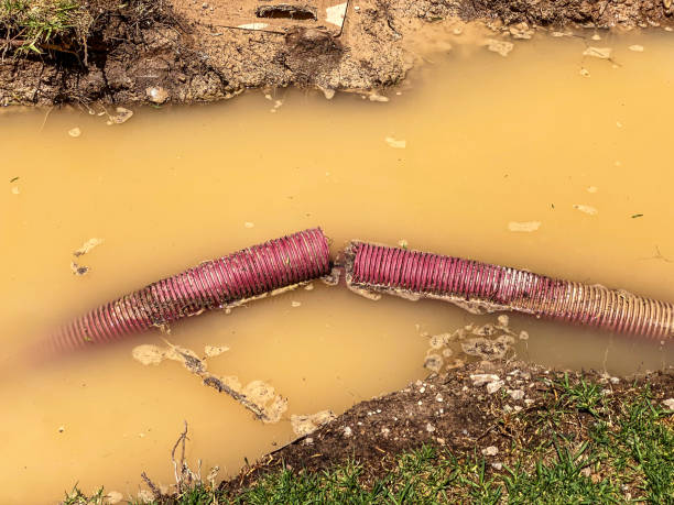 Water damage restoration insurance claims in CA