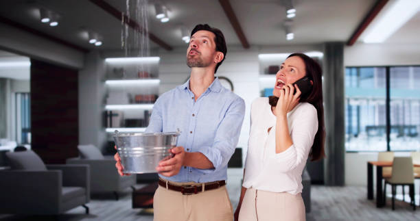 Best Local water damage restoration  in West Athens, CA